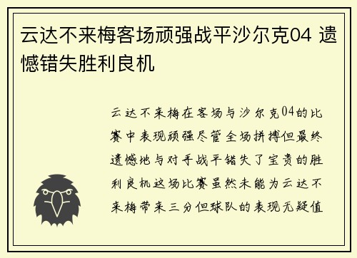 云达不来梅客场顽强战平沙尔克04 遗憾错失胜利良机